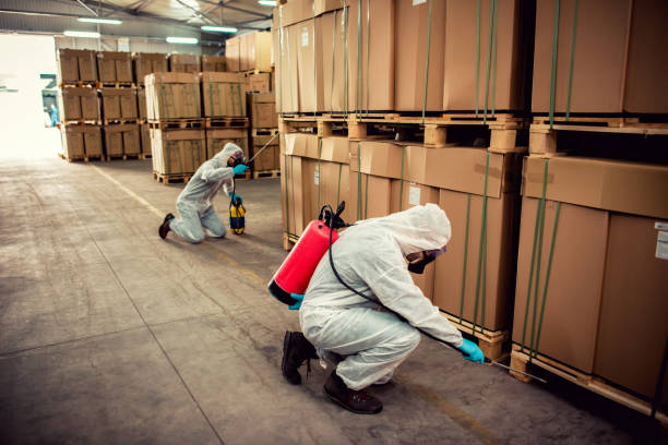 Best Flea Control Services  in Glespie, IL