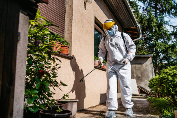 Best Mosquito Control Services  in Glespie, IL