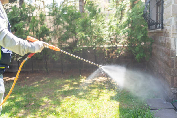 Professional Pest Control in Gillespie, IL