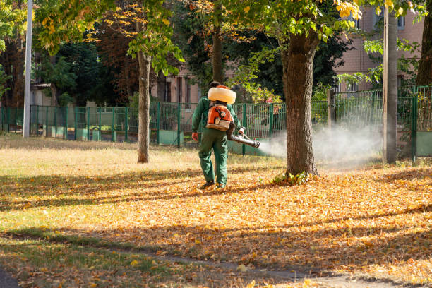 Pest Prevention Services in Gillespie, IL