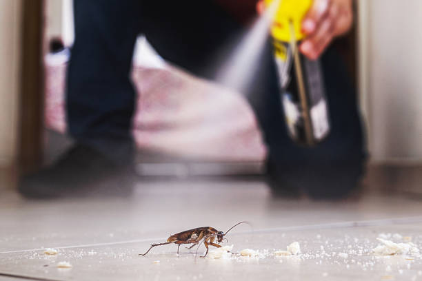 Best Residential Pest Control  in Glespie, IL