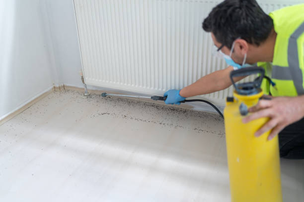 Best Pest Prevention Services  in Glespie, IL