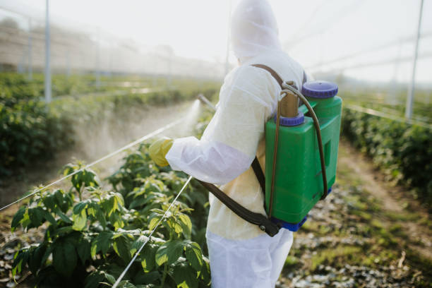 Wasp Removal Services in Gillespie, IL